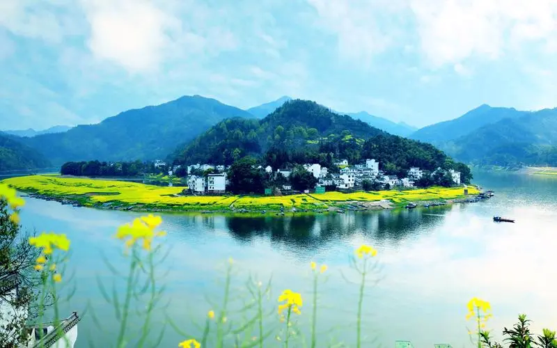 电子高端